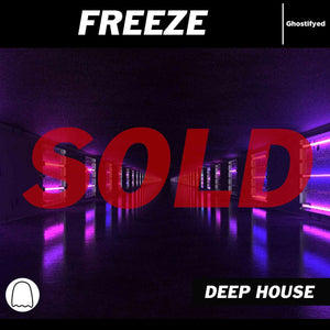 Freeze - In style of: Sam Feldt
